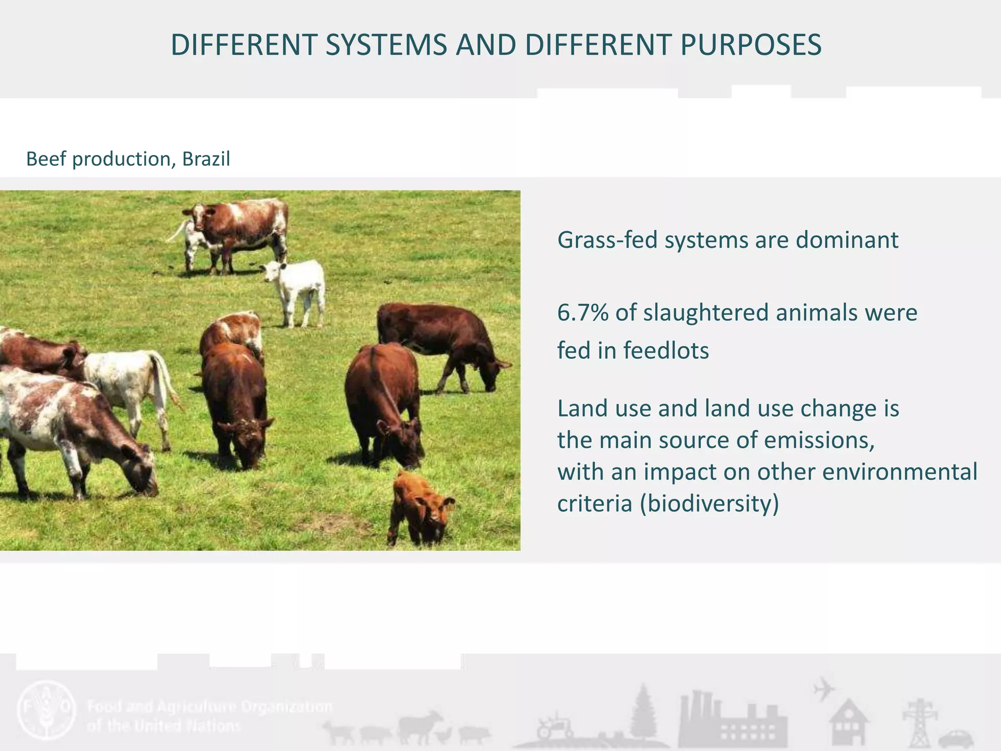 DIFFERENT SYSTEMS AND DIFFERENT PURPOSES 
Meeting/Workshop title • place and date 
13 
Grass-fed systems are dominant 
6.7% of slaughtered animals were 
fed in feedlots 
Land use and land use change is 
the main source of emissions, 
with an impact on other environmental 
criteria (biodiversity) 
Beef production, Brazil 
 