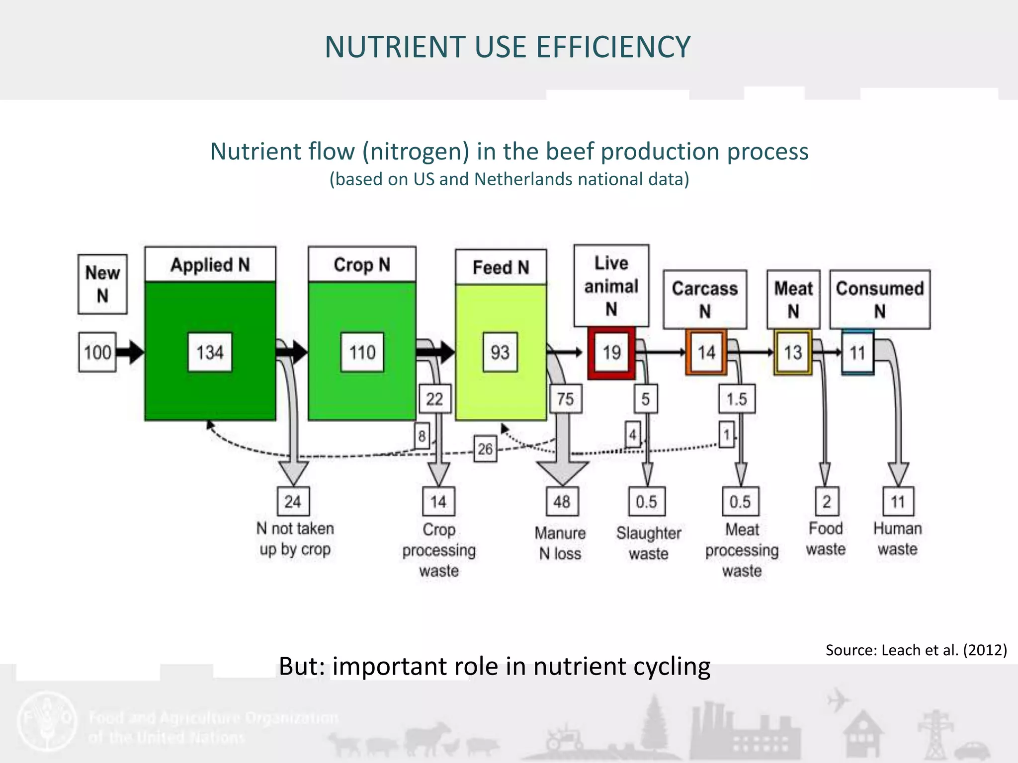 Meeting/Workshop title • place and date 
18 
NUTRIENT USE EFFICIENCY 
Nutrient flow (nitrogen) in the beef production process 
(based on US and Netherlands national data) 
Source: Leach et al. (2012) 
But: important role in nutrient cycling 
 