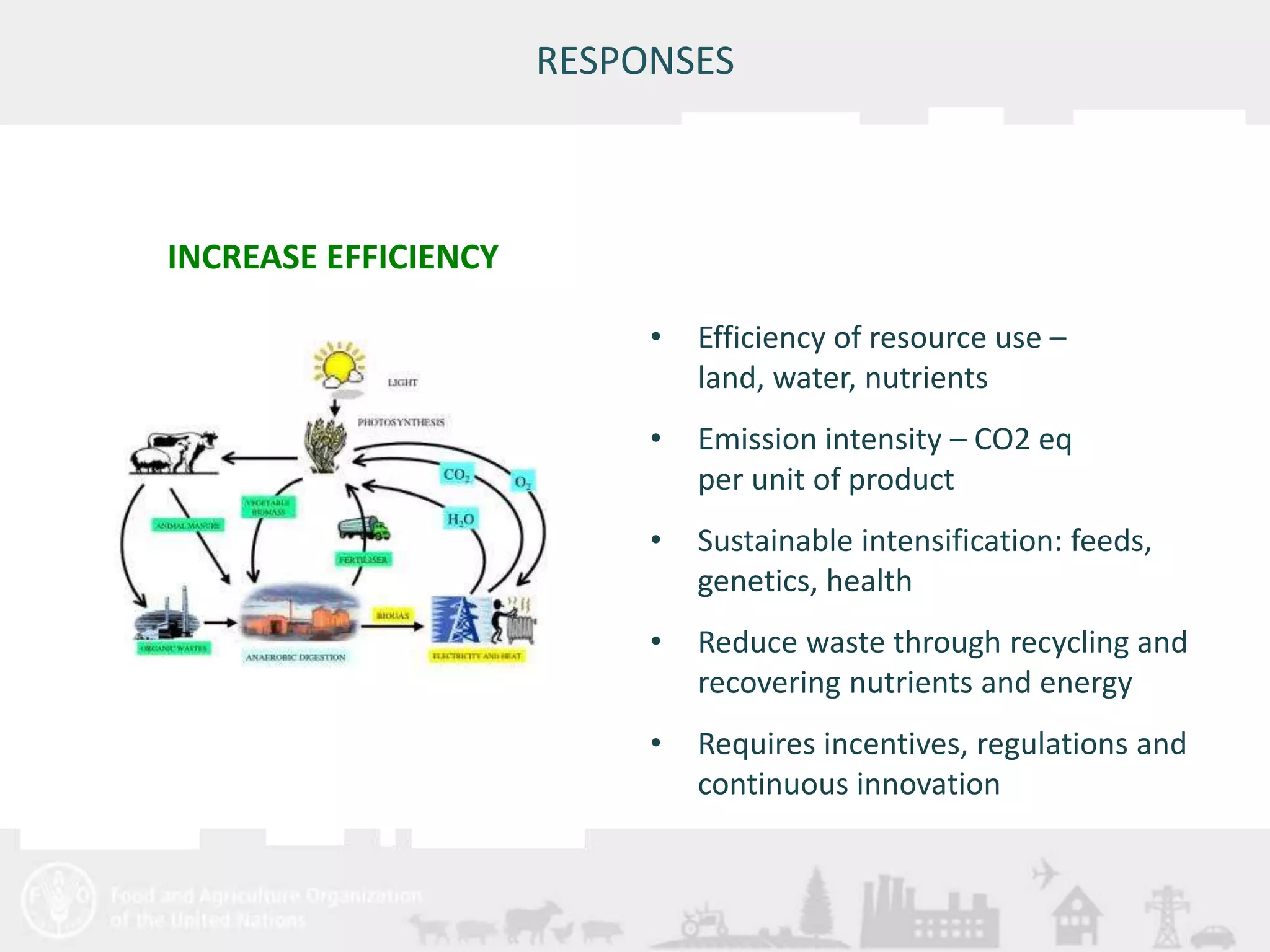 Meeting/Workshop title • place and date 
RESPONSES 
• Efficiency of resource use – 
land, water, nutrients 
• Emission intensity – CO2 eq 
per unit of product 
• Sustainable intensification: feeds, 
genetics, health 
• Reduce waste through recycling and 
recovering nutrients and energy 
• Requires incentives, regulations and 
continuous innovation 
INCREASE EFFICIENCY 
 