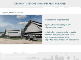 DIFFERENT SYSTEMS AND DIFFERENT PURPOSES 
Meeting/Workshop title • place and date 
11 
Global chain, imported feed 
Lower GHG emissions per unit 
of protein produced… 
… but other environmental impacts: 
nutrient pollution, potential land 
use change associated with 
imported feed, impacts on biodiversity 
Pig farm, Chonburi, Thailand 
 
