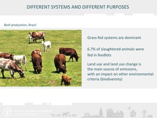 DIFFERENT SYSTEMS AND DIFFERENT PURPOSES 
Meeting/Workshop title • place and date 
13 
Grass-fed systems are dominant 
6.7% of slaughtered animals were 
fed in feedlots 
Land use and land use change is 
the main source of emissions, 
with an impact on other environmental 
criteria (biodiversity) 
Beef production, Brazil 
 
