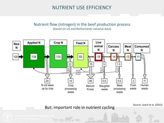 Meeting/Workshop title • place and date 
18 
NUTRIENT USE EFFICIENCY 
Nutrient flow (nitrogen) in the beef production process 
(based on US and Netherlands national data) 
Source: Leach et al. (2012) 
But: important role in nutrient cycling 
 