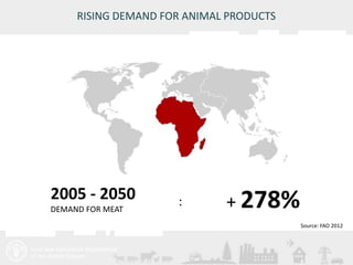 Meeting/Workshop title • place and date 
5 
2005 - 2050 
DEMAND FOR MEAT : + 278% 
Source: FAO 2012 
RISING DEMAND FOR ANIMAL PRODUCTS 
 