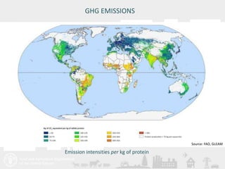 Livestock and the environment: Drivers, impacts, responses