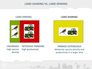 Livestock and the environment: Drivers, impacts, responses