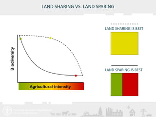 Livestock and the environment: Drivers, impacts, responses