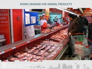 Livestock and the environment: Drivers, impacts, responses