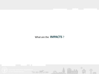 Livestock and the environment: Drivers, impacts, responses