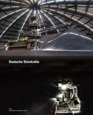Deutsche Steinkohle
Fotos:
Steinkohlenmischhalle; im Streb
 