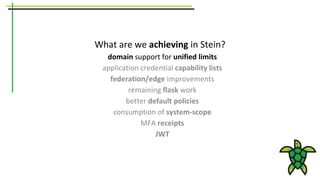 What are we achieving in Stein?
domain support for unified limits
application credential capability lists
federation/edge improvements
remaining flask work
better default policies
consumption of system-scope
MFA receipts
JWT
 