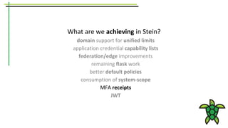 What are we achieving in Stein?
domain support for unified limits
application credential capability lists
federation/edge improvements
remaining flask work
better default policies
consumption of system-scope
MFA receipts
JWT
 