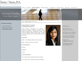 Stein & Stein, P.A. Website