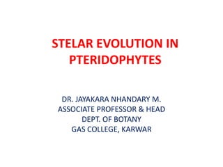 STELAR EVOLUTION IN
   PTERIDOPHYTES

 DR. JAYAKARA NHANDARY M.
ASSOCIATE PROFESSOR & HEAD
       DEPT. OF BOTANY
   GAS COLLEGE, KARWAR
 
