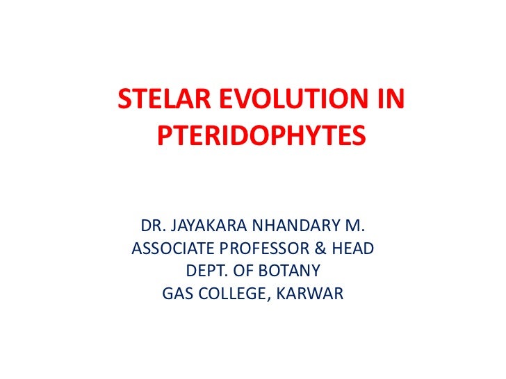 EVOLUTION OF PTERIDOPHYTES EPUB DOWNLOAD EVOLUTION OF PTERIDOPHYTES EPUB DOWNLOAD