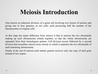 Meiosis and its phases along with checkpoint.pptx