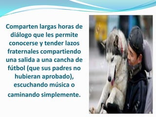 Comparten largas horas de
   diálogo que les permite
  conocerse y tender lazos
fraternales compartiendo
una salida a una cancha de
 fútbol (que sus padres no
    hubieran aprobado),
    escuchando música o
 caminando simplemente.
 