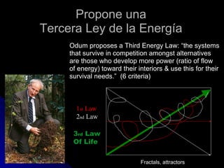 Propone una Tercera Ley de la Energía Odum proposes a Third Energy Law: “the systems that survive in competition amongst alternatives are those who develop more power (ratio of flow of energy) toward their interiors & use this for their survival needs.”  (6 criteria) Fractals, attractors 3 rd  Law Of Life 1 st  Law 2 nd  Law 
