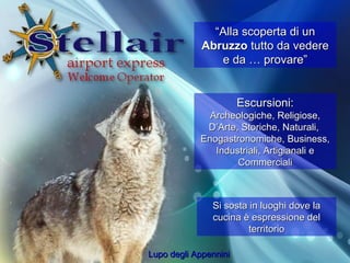  Alla scoperta di un  Abruzzo  tutto da vedere e da  provare Lupo degli Appennini Escursioni: Archeologiche, Religiose, DArte, Storiche, Naturali,  Enogastronomiche, Business, Industriali, Artigianali e Commerciali Si sosta in luoghi dove la cucina  espressione del territorio 