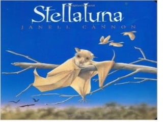 Stellaluna story