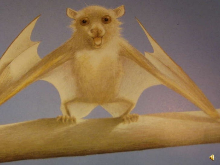 Stellaluna trailer1 Stellaluna trailer1