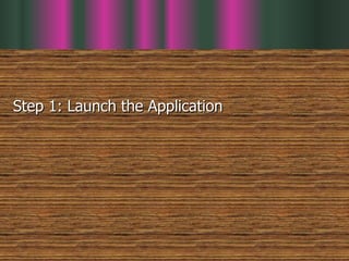 Step 1: Launch the Application 