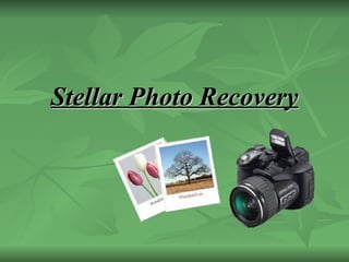 Stellar Photo Recovery 