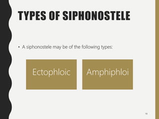 TYPES OF SIPHONOSTELE
• A siphonostele may be of the following types:
16
Ectophloic Amphiphloi
 