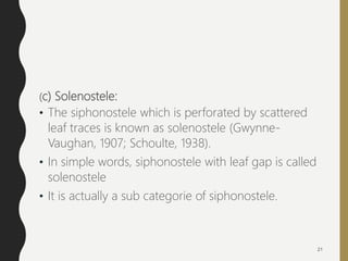 (c) Solenostele:
• The siphonostele which is perforated by scattered
leaf traces is known as solenostele (Gwynne-
Vaughan, 1907; Schoulte, 1938).
• In simple words, siphonostele with leaf gap is called
solenostele
• It is actually a sub categorie of siphonostele.
21
 