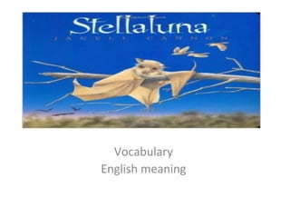 Vocabulary
English meaning
 