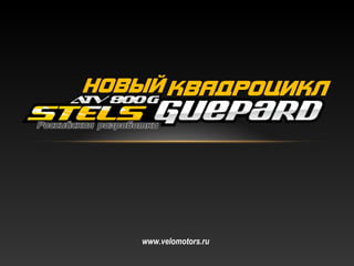 www.velomotors.ru
 