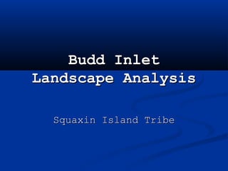 Budd InletBudd Inlet
Landscape AnalysisLandscape Analysis
Squaxin Island TribeSquaxin Island Tribe
 