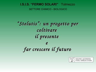I.S.I.S. “FERMO SOLARI” Tolmezzo
      SETTORE CHIMICO - BIOLOGICO




“ Stelutis”: un progetto per
          coltivare
         il presente
              e
    far crescere il futuro
 
