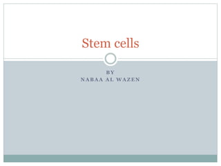 B Y
N A B A A A L W A Z E N
Stem cells
 