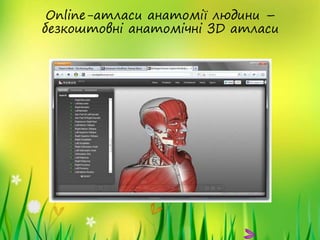 Online-атласи анатомії людини –
безкоштовні анатомічні ЗD атласи
 