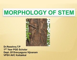 MORPHOLOGY OF STEM
Dr.Reeshna.T.P
1ST Year PGD Scholar
Dept .Of Dravyaguna Vijnanam
VPSV AVC Kottakkal
 