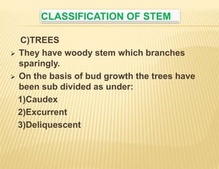 Stem.pptx