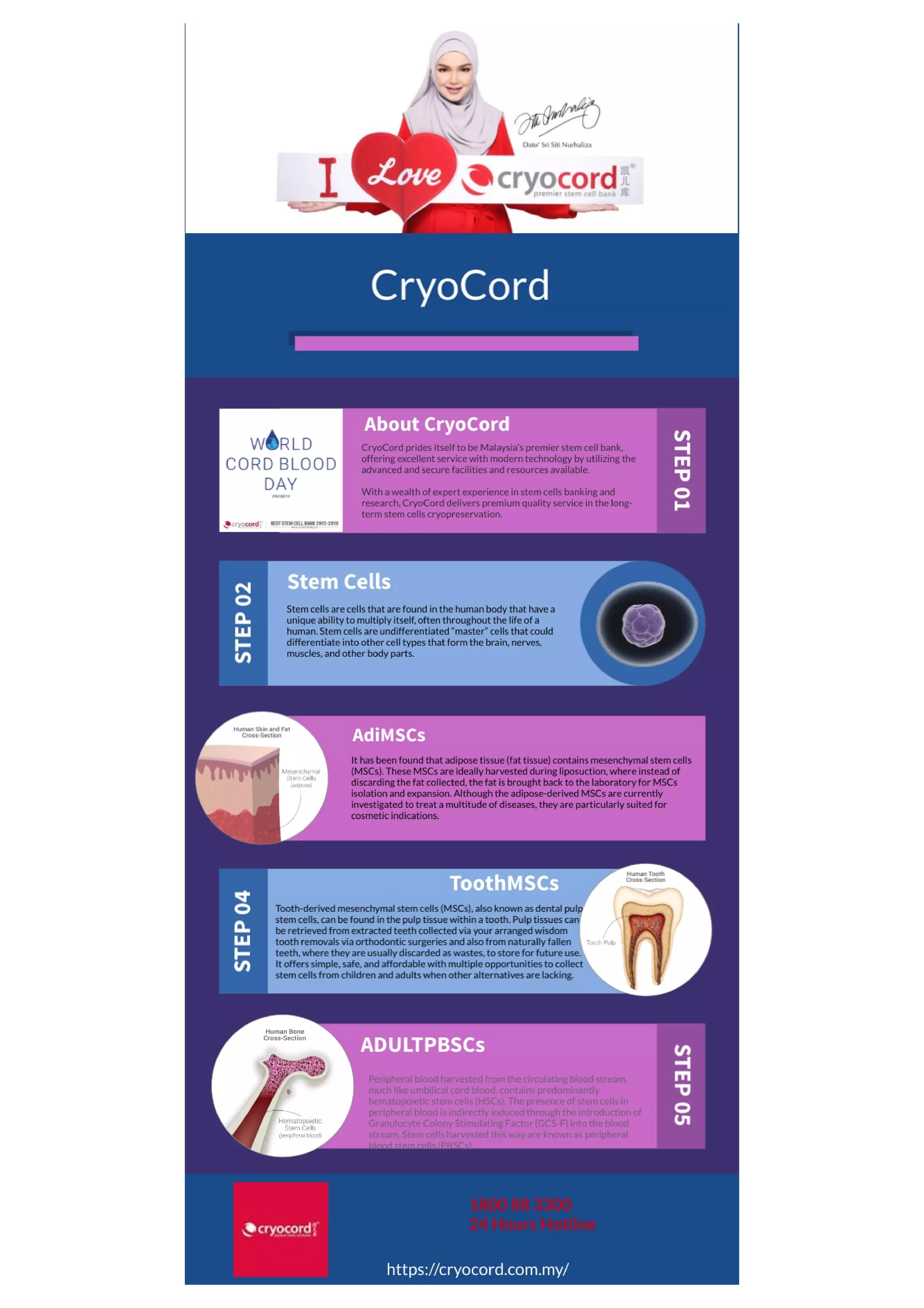 Stem Cell - Cord Blood Malaysia | PDF