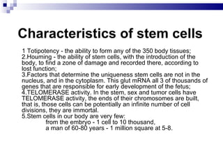 Characteristics of stem cells 1 Totipotency  - the ability to form any of the 350 body tissues;  2.Houming - the ability  of stem  cells, with the introduction of the body, to find a zone of damage and recorded there, according to lost function;  3.Factors that determine the uniqueness  stem  cells are not in the nucleus, and in the cytoplasm. This glut mRNA all 3 of thousands of genes that are responsible for early development of the fetus;  4.TELOMERASE activity. In the stem, sex and tumor cells have TELOMERASE activity, the ends of their chromosomes are built, that is, those cells can be potentially an infinite number of cell divisions, they are immortal.  5.Stem cells in our body are very few:                from the embryo - 1 cell to 10 thousand,                a man of 60-80 years - 1 million square at 5-8.  