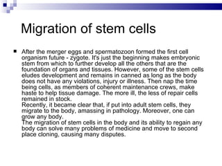 M igration of stem cells After the merger eggs and spermatozo on  formed the first cell organism future - zygote. It's just the beginning makes embryonic stem from which to further develop all the others that are the foundation of organs and tissues. However, some of the stem cells eludes development and remains in  canned  as long as the body does not have any violations, injury or illness. Then nap the time being cells, as members of coherent maintenance crews, make haste to help tissue damage. The more ill, the less of repair cells remained in stock . Recently, it became clear that, if put into adult stem cells, they migrate to the body,  amassing  in pathology. Moreover, one can grow any body.  The migration of stem cells in the body and its ability to regain any body can solve many problems of medicine and move to second place cloning, causing many disputes . 