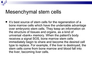 Mesenchymal stem cells It’s  best source of stem cells for the regeneration of a bone marrow cells which have the undeniable advantage over embryonic stem cells. They keep an information on the structure of tissues and organs, as a kind of universal «bank» memory.  W hen the patient's body receives a signal SOS, bone marrow stem cells immediately begin to share and become the desired cell type to replace. For example, if the liver is destroyed, the stem cells come from bone marrow and blood fall into the liver, becoming liver cells .   