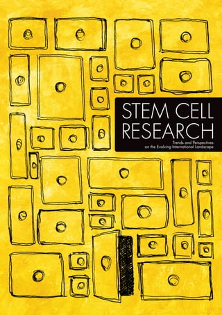 Stem Cell Research: Trends and Perspectives on the Evolving International Landscape