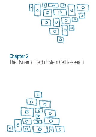 Chapter 2
The Dynamic Field of Stem Cell Research

 