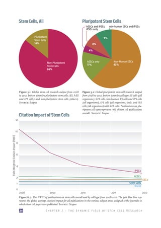 Stem Cells, All

Pluripotent Stem Cells
hESCs and iPSCs
iPSCs only

Pluripotent
Stem Cells
14%

non-human ESCs and iPSCs

9%
8%
4%

hESCs only
17%

Non-Pluripotent
Stem Cells
86%

Figure 5.1: Global stem cell research output from 2008
to 2012, broken down by pluripotent stem cells (ES, hES
and iPS cells) and non-pluripotent stem cells (others).
Source: Scopus

Citation Impact of Stem Cells

Non-Human ESCs
62%

Figure 5.2: Global pluripotent stem cell research output
from 2008 to 2012, broken down by cell type ES cells (all
organisms), hES cells, non-human ES cells and iPS cells
(all organisms), iPS cells (all organisms) only, and iPS
cells (all organisms) with hES cells. Publications on pluripotent cell types represent 17% of stem cell publications
overall. Source: Scopus

12

Field-Weighted Citation Impact (FWCI)

10

8

6

4
iPSCs
2

hESCs

1

Stem Cells
World

0
2008

2009

2010

2011

Figure 6.0: The FWCI of publications on stem cells overall and by cell type from 2008-2012. The pale blue line represents the global average citation impact for all publications in the various subject areas assigned to the journals in
which stem cell papers are published. Source: Scopus
24

CHAPTER 2 — THE DYNAMIC FIELD OF STEM CELL RESEARCH

ESCs

2012

 