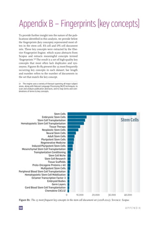Stem Cell Research: Trends and Perspectives on the Evolving International Landscape