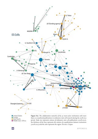 Stem Cell Research: Trends and Perspectives on the Evolving International Landscape