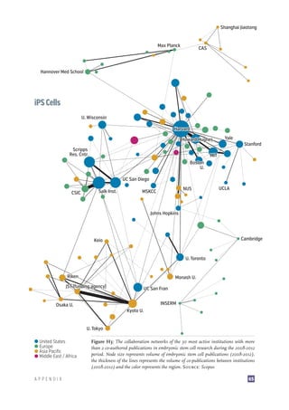 Stem Cell Research: Trends and Perspectives on the Evolving International Landscape