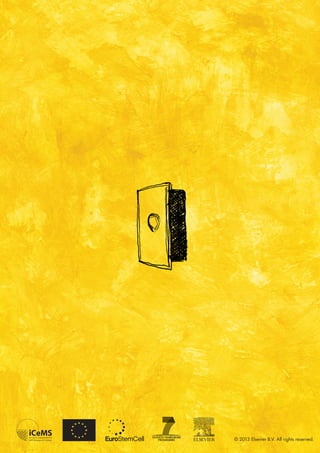 Stem Cell Research: Trends and Perspectives on the Evolving International Landscape