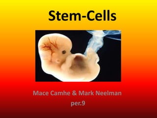 Stem-Cells Mace Camhe & Mark Neelman  per.9 