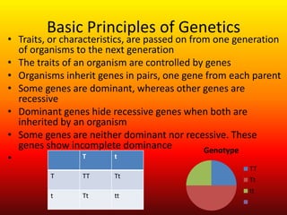 Basic Principles of GeneticsTraits, or characteristics, are passed on from one generation of organisms to the next generation