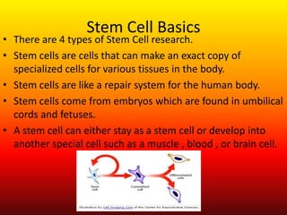 Some genes are neither dominant nor recessive. These genes show incomplete dominanceThe Human Genome ProjectStarted in 1990
